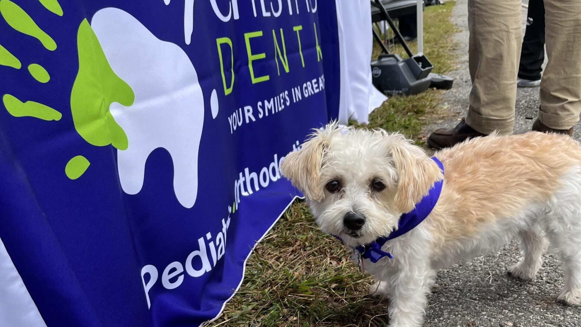 Dog_at_BFD_Day.jpg_(1)-min